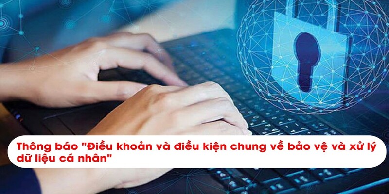 Tài khoản hội viên phải có thông tin chính xác